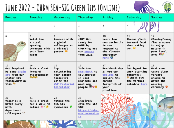 OHBM 2022 online green tips